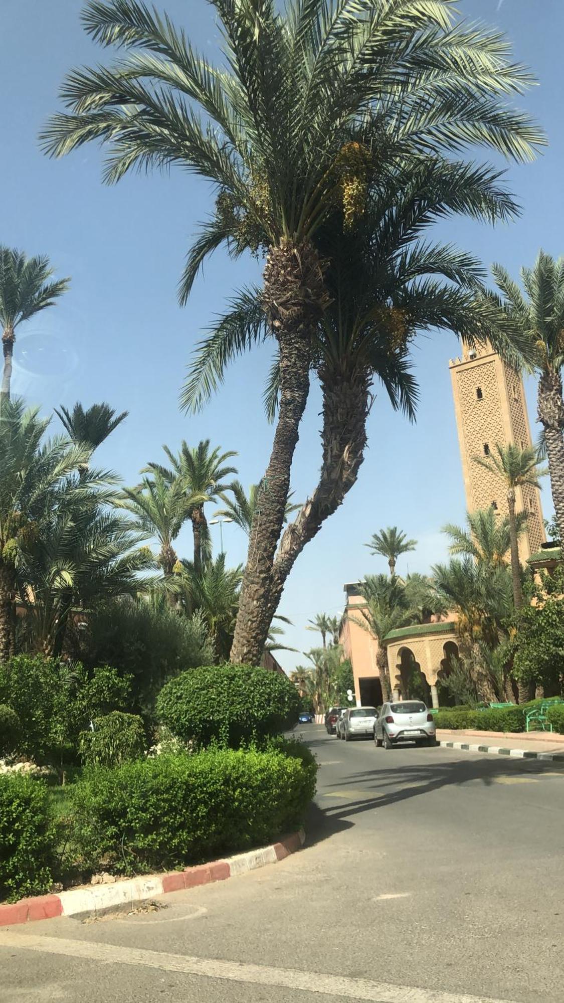 Riad Lyna マラケシュ エクステリア 写真